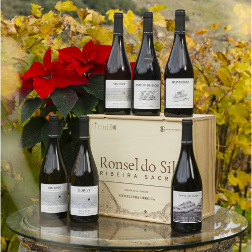 CAJA  NAVIDAD PREMIUM JARDÍN DE VARIEDADES